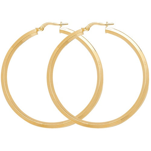 9ct Yellow Gold Hoops ER998-40
