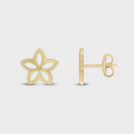 9ct Yellow Gold Flower Studs