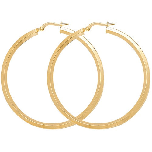9ct Yellow Gold Hoops ER998-40
